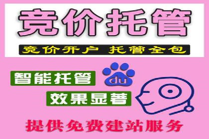 百度推广广告创意测试与优化——某公司成功经验分享
